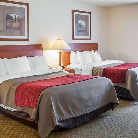 Comfort Inn & Suites Socorro Buitenkant foto