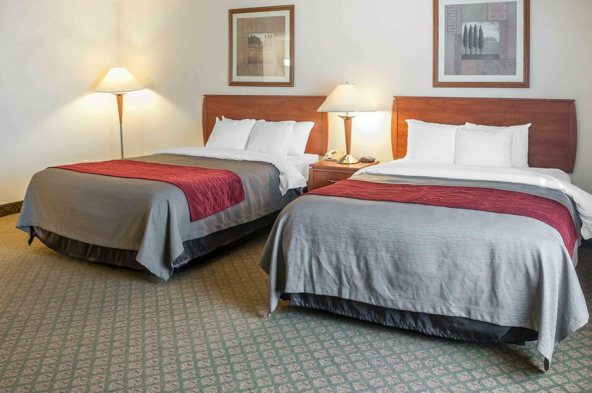 Comfort Inn & Suites Socorro Buitenkant foto