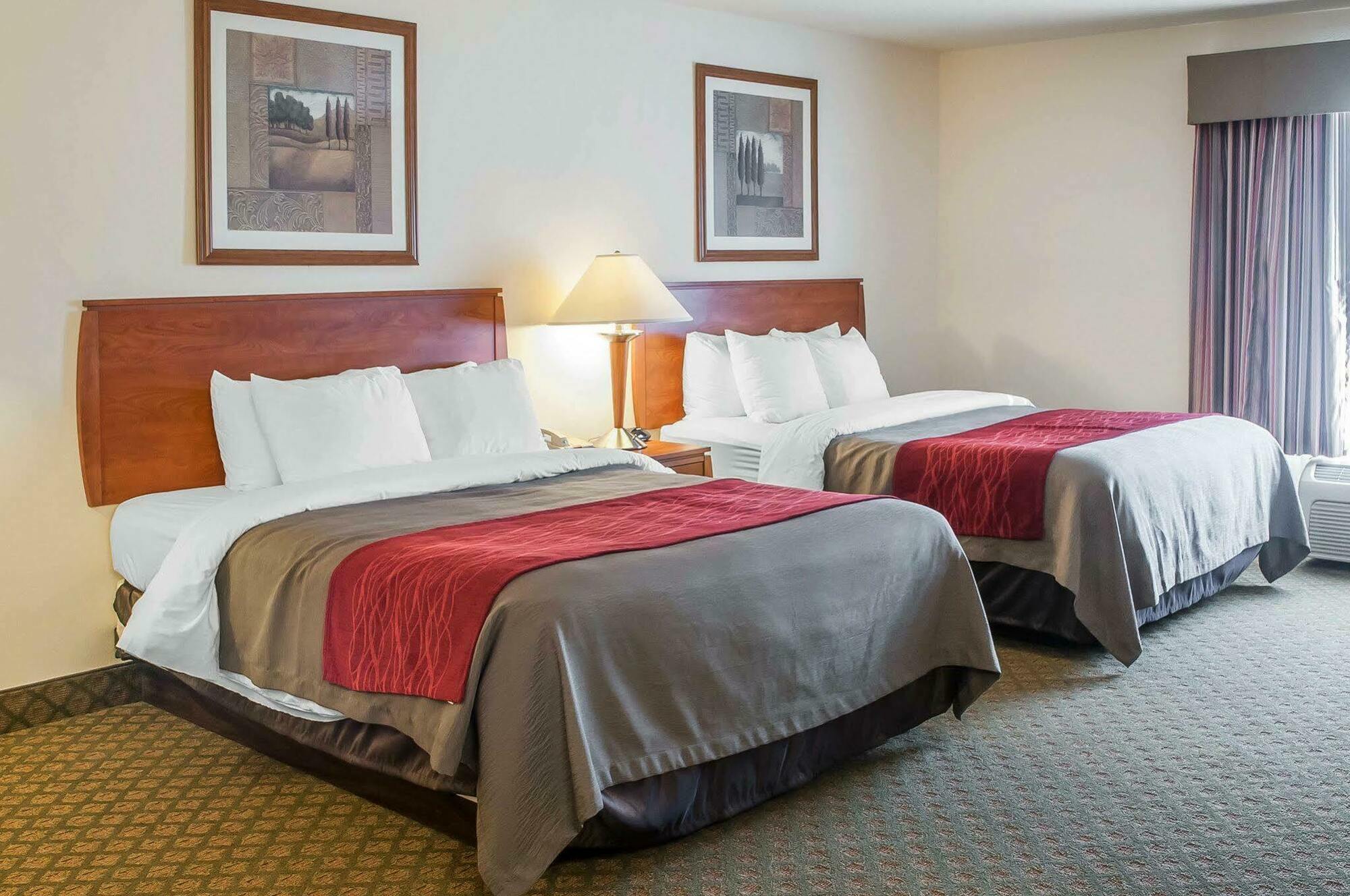 Comfort Inn & Suites Socorro Buitenkant foto